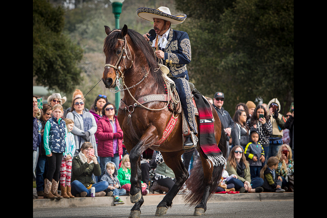 Image of Manuel Enrique singing and riding his dancing horse in front of on looking crowd - Photo by Keith Bergher